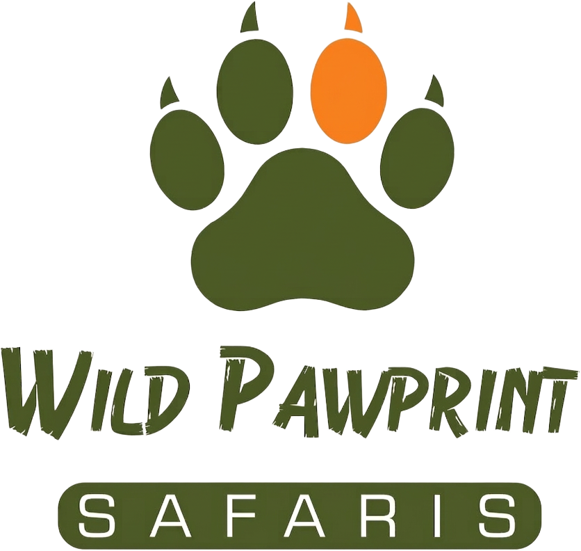 Wild Pawprint Safaris
